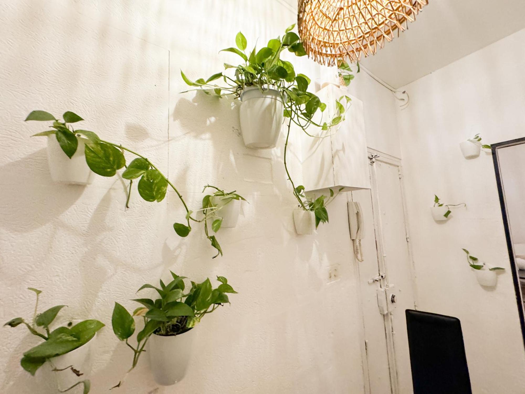 Apartment Kalma - Porto Scalas Cagliari